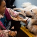 Comfort Dog provides support to a disaster survivor at a FEMA Recovery Center in Long Beach, NY