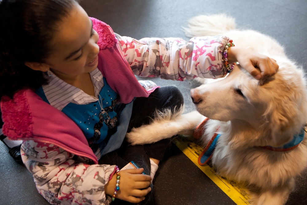 Comfort Dog provides support to a disaster survivor at a FEMA Recovery Center in Long Beach, NY