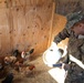 Farm animals in Afghanistan