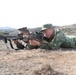 Marines, Singapore guardsmen share warrior spirit, combat experience during Exercise Valiant Mark