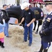 Washington International Horseshow Children's Day