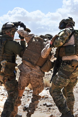 Alaska Air National Guardsmen save 226 lives in Afghanistan