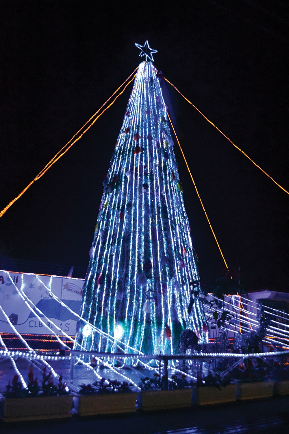 DVIDS - News - Tree lighting unites community