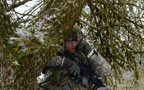 541st Engineer Company Situational Training Exercise