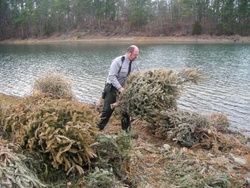 Corps collecting used Christmas trees to enhance fish habitat at Thurmond Lake