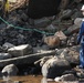Hurricane Sandy cleanup effort
