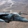 Harriers Over Helmand