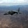 Harriers Over Helmand
