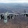 Harriers Over Helmand