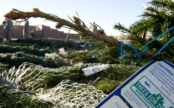 The image shows bundled Christmas trees tagged with 'Trees for Troops' program cards, a charitable initiative that ships real Christmas trees to deployed military personnel. A handwritten note is visible on the tag expressing holiday wishes and gratitude to service members. Military personnel in uniform are visible in the blurred background.