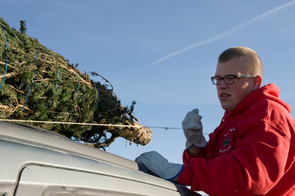 A young man wearing a red hoodie and glasses is securing a Christmas tree to the roof of a silver vehicle. He is wearing work gloves and appears to be tying or adjusting rope to fasten the bundled evergreen tree. The scene takes place outdoors under a clear blue sky.