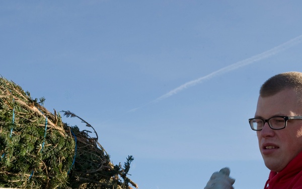 A young man wearing a red hoodie and glasses is securing a Christmas tree to the roof of a silver vehicle. He is wearing work gloves and appears to be tying or adjusting rope to fasten the bundled evergreen tree. The scene takes place outdoors under a clear blue sky.