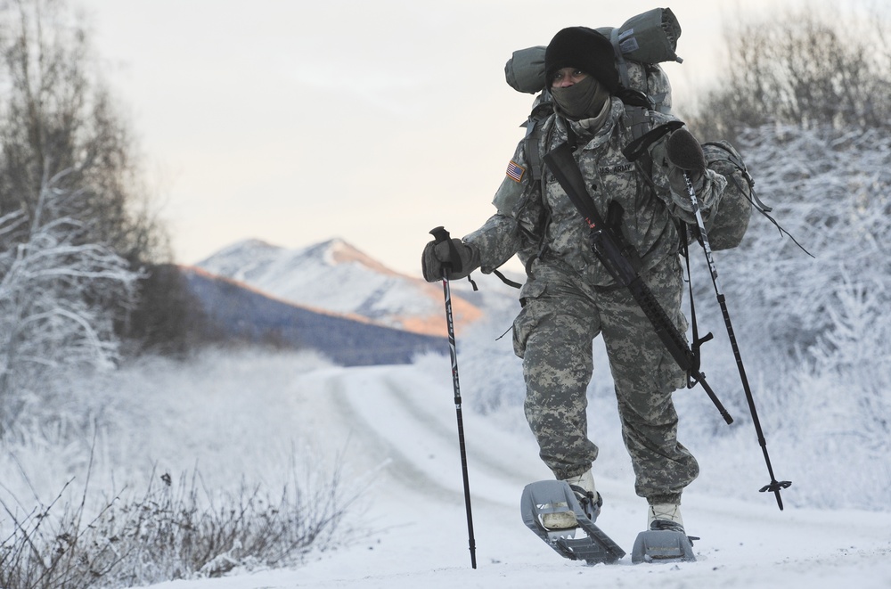 Arctic Light Individual Training