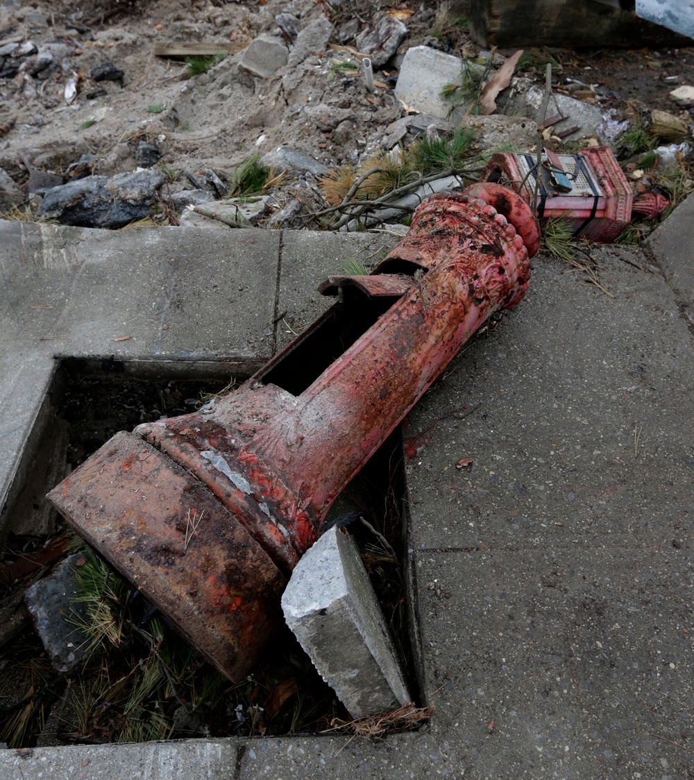 Debris Cleanup in Brooklyn