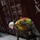 Removing packing materials