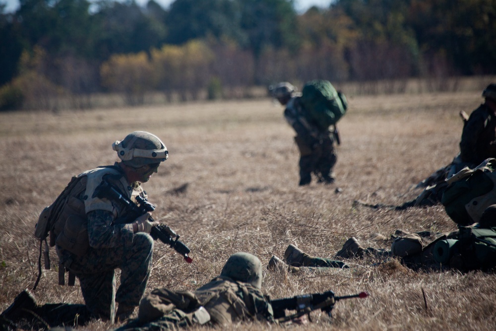 Teufelhunden complete final field exercise before deployment