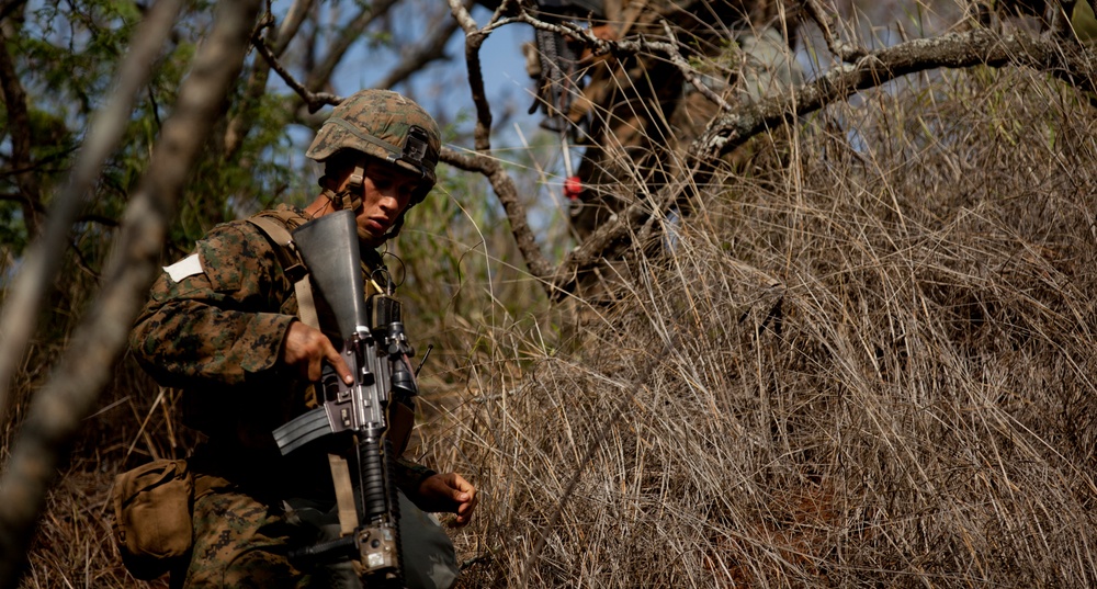'America's Battalion' Conducts Insertions and Clearings at Bellows