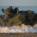 1st Marine Division exercises amphibious landing capabilities during Steel Knight