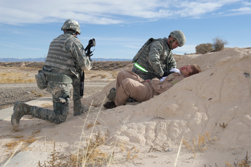 Holloman Phase II FTX