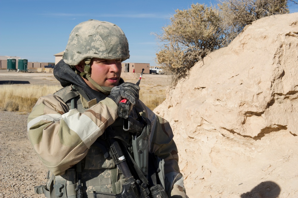 Holloman Phase II FTX