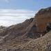 Holloman Phase II FTX