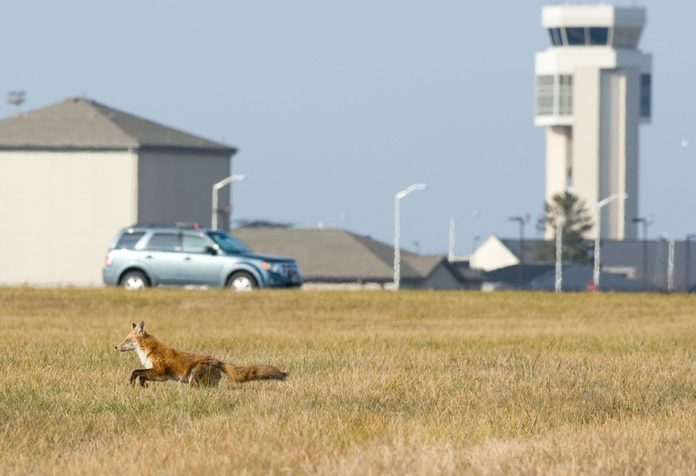 Dover AFB