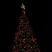 Hurlburt Field holiday tree lighting ceremony