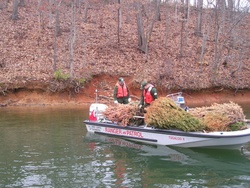 Corps Hartwell Lake Office accepting Christmas trees for recycling