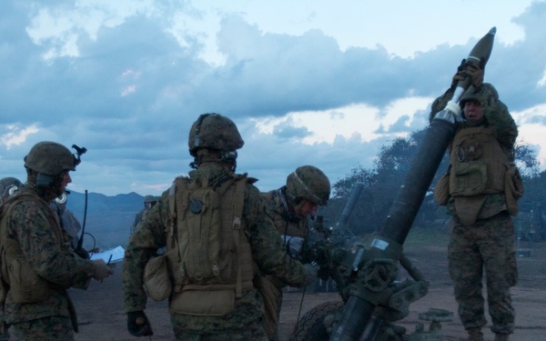 ‘Cannon Cockers’ conduct historic live-fire exercise in support of Steel Knight