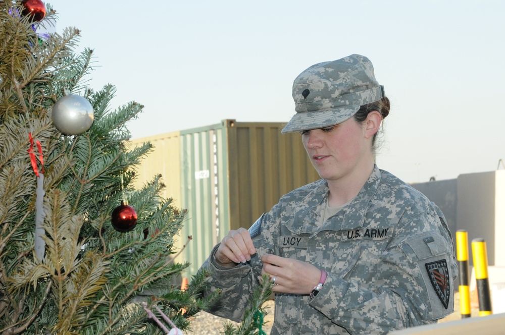 Hoosier Christmas trees overseas