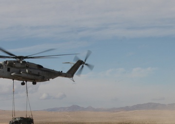 Warhorses, Stallions support Steel Knight exercise