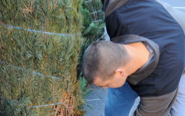 Soldier receives a message from home through a tree