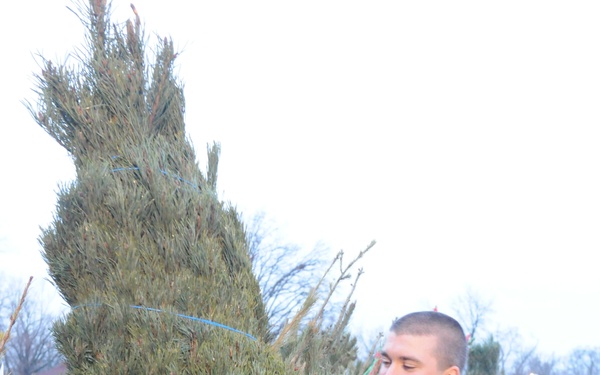 Soldier receives a message from home through a tree