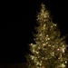 2012 Clay Kaserne Tree Lighting Ceremony