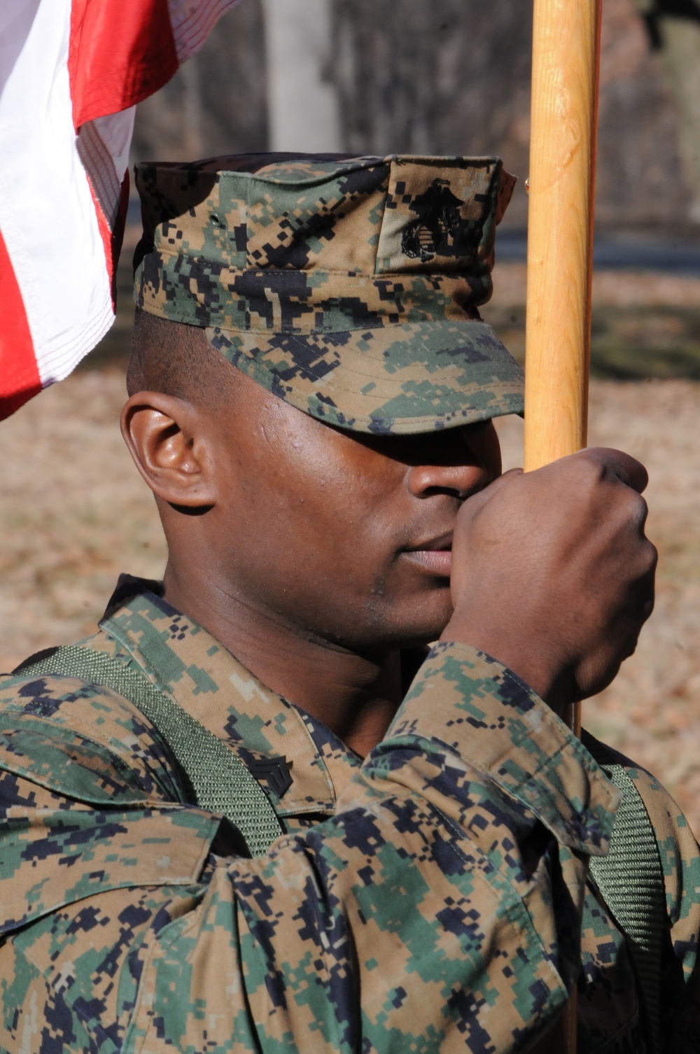 Color sergeant leads from front