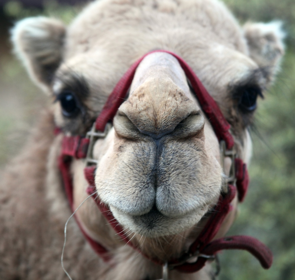 Marines with MWSS-273 give back