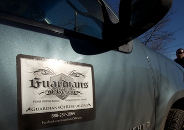 Hurricane Sandy rescued cats