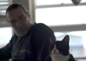 Hurricane Sandy rescued cats