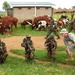 Mentorship promotes partnership between US, Uganda soldiers