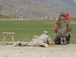 Deployed soldiers earn German Armed Forces Badge