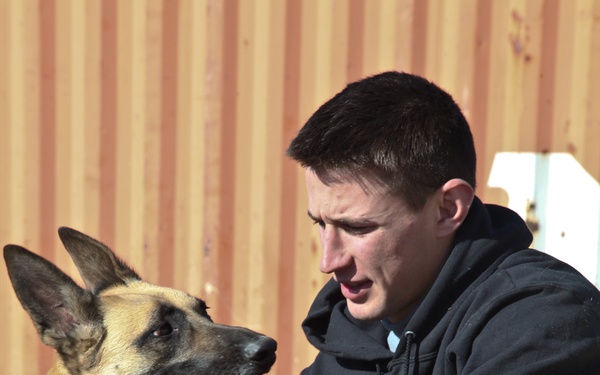 Dog handlers in Afghanistan