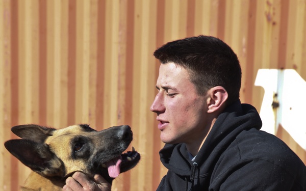 Dog handlers in Afghanistan