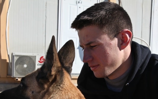 Dog handlers in Afghanistan