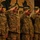 Salute up close