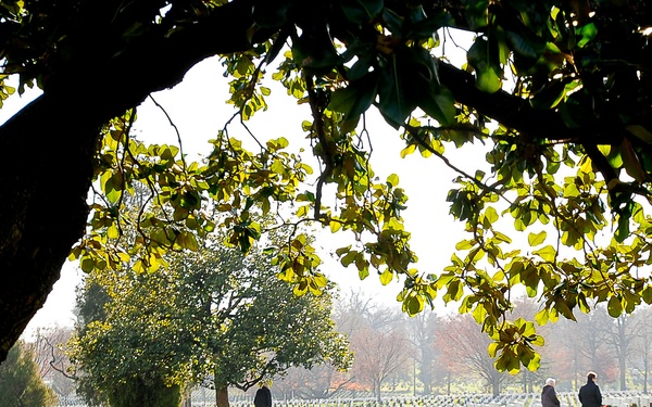 Wreaths Across America at Arlington National Cemetery
