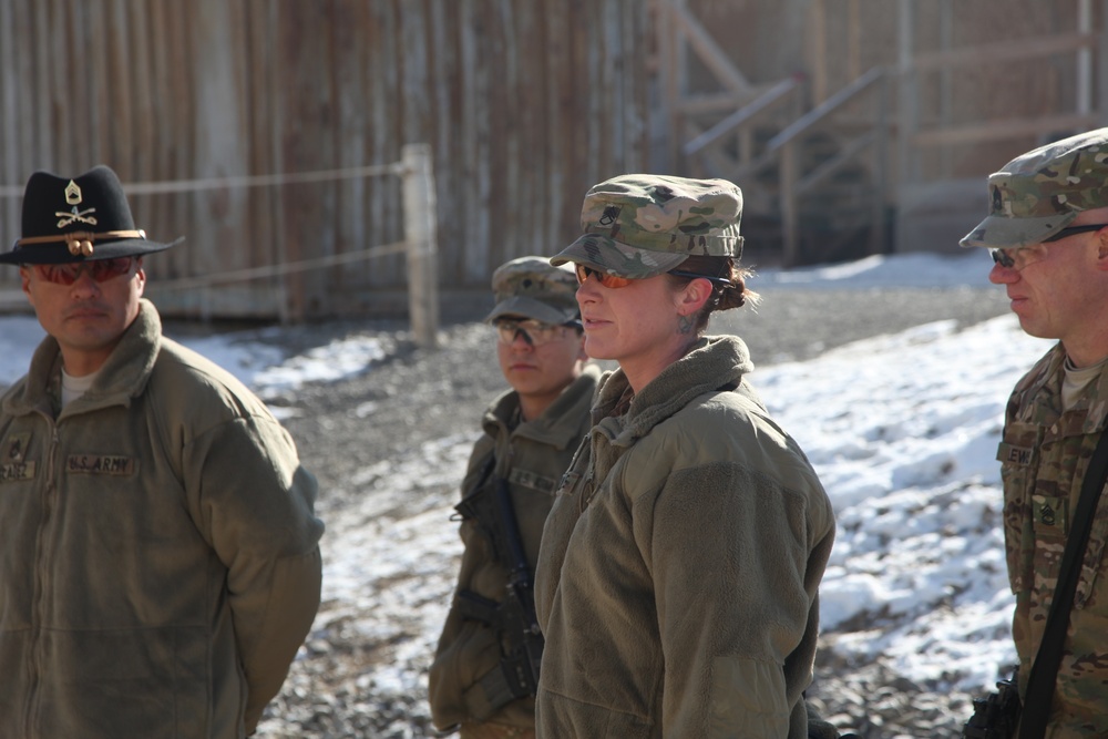 Darkhorse Company, 1st Squadron, 4th Cavalry Regiment, 1st Infantry Division promotion ceremony