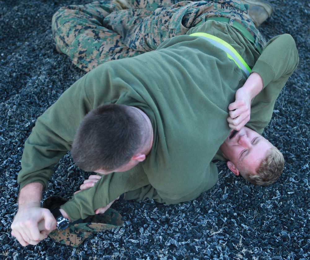 Bridge Co. Marines grapple during MCMAP