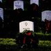Arlington wreaths