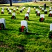 Arlington wreaths