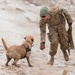 A dog's life: Mine dogs train to save lives